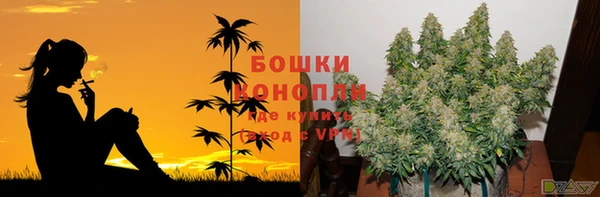 МДПВ Гусиноозёрск