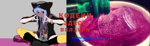МДПВ Гусиноозёрск