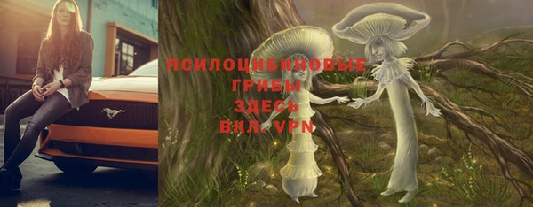 a pvp Гусев