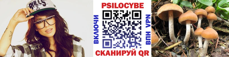 мориарти состав  где купить   Невинномысск  Псилоцибиновые грибы мицелий 